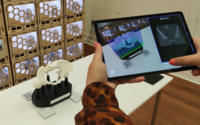 Augmented reality, STEM and remote learning
